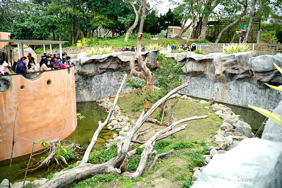 新竹景點【新竹市立動物園】全台最老動物園大變身，銅板價門票看動物、玩遊戲場 @兔兒毛毛姊妹花