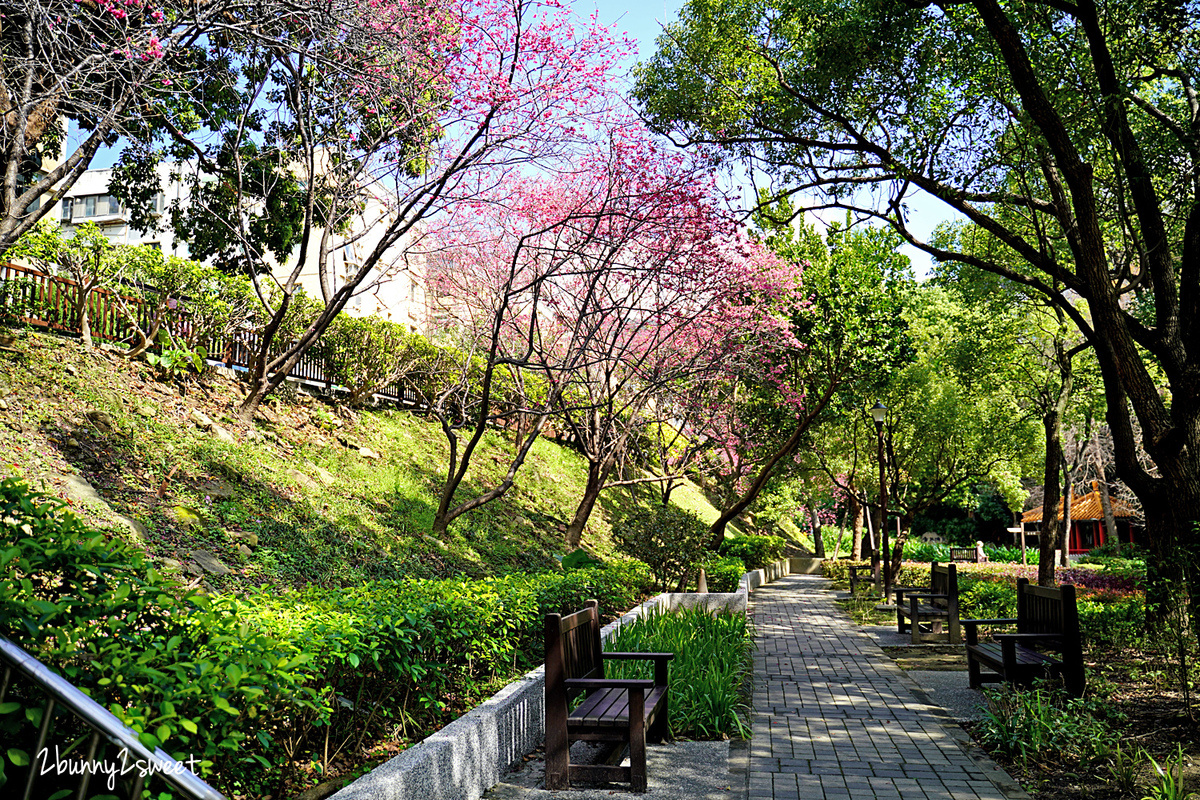 台北特色公園》天和公園～都市裡的森林樹屋遊戲場，不鏽鋼極速滑梯、大型鳥籠攀爬網、柔軟木屑地面，可以親近自然的免費親子景點｜士林天母特色遊戲場 @兔兒毛毛姊妹花