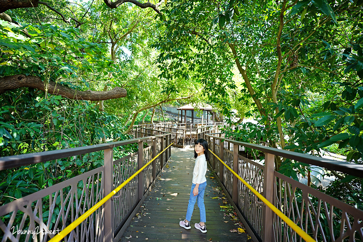 台北特色公園》東和公園 湯姆森林冒險遊戲場～來森林遊戲吧!! 穿梭樹林間的木棧道遊戲場，一層樓高旋轉滑梯吸睛又好玩｜天母特色遊戲場｜士林免費親子景點 @兔兒毛毛姊妹花