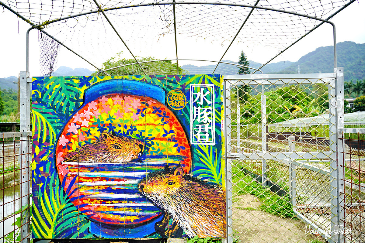 桃園景點「花鹿秘境-李家摸蜆農場」近距離餵食卡皮巴拉，還能釣螯蝦、戲水、用餐 @兔兒毛毛姊妹花