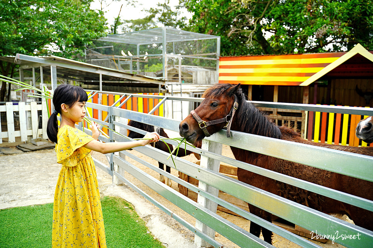 桃園親子景點》大溪富田花園農場～門票換飼料!! 草泥馬、驢子、小豬&#8230;好多動物可以餵食，還有水上玻璃教堂夢幻場景好好拍 @兔兒毛毛姊妹花