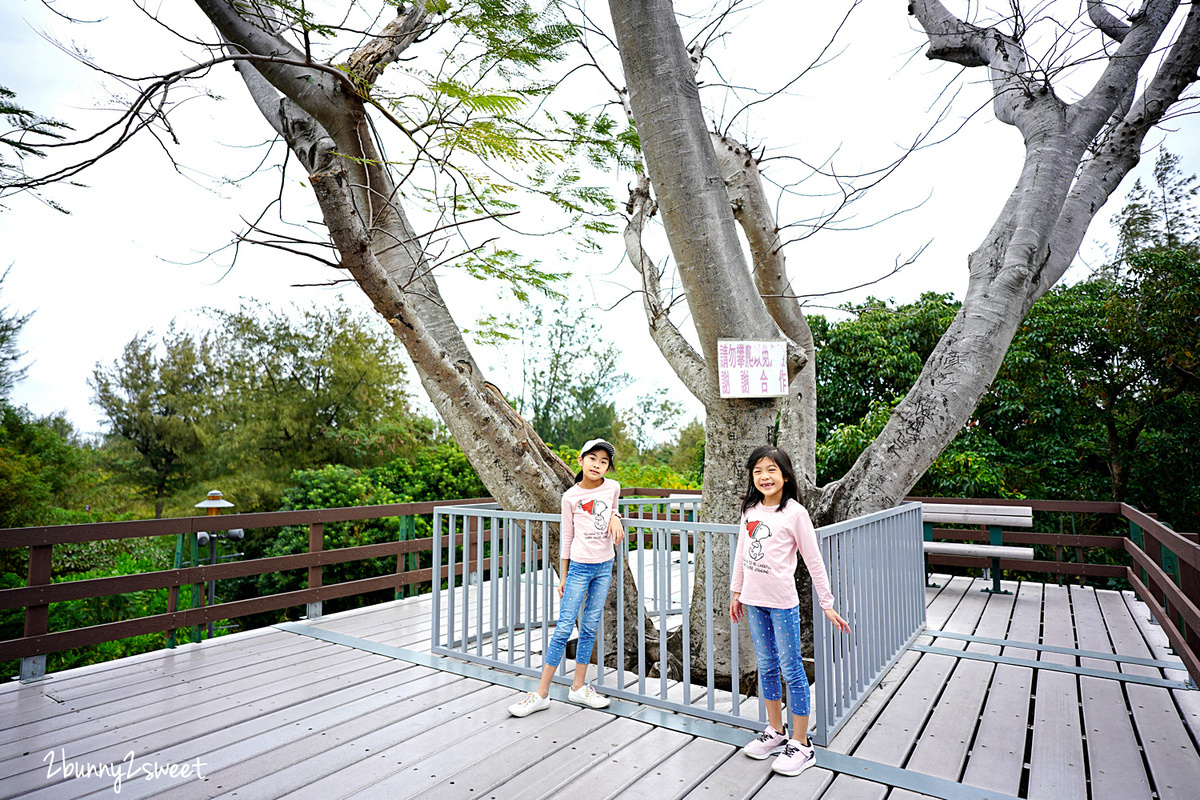 台東親子景點》台東森林公園～銅板價就能享受的絕美黑森林自行車道、夢幻琵琶湖、活水湖、鷺鷥湖，租腳踏車、親子車很方便喔～ @兔兒毛毛姊妹花