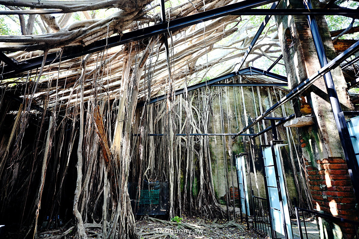 台南景點推薦》安平樹屋、德記洋行～銅板價門票一次逛三個古蹟，拱形迴廊、文青樹屋超級好拍，還能順便喝咖啡、吃蜷尾家冰淇淋｜愛博卡優惠 @兔兒毛毛姊妹花