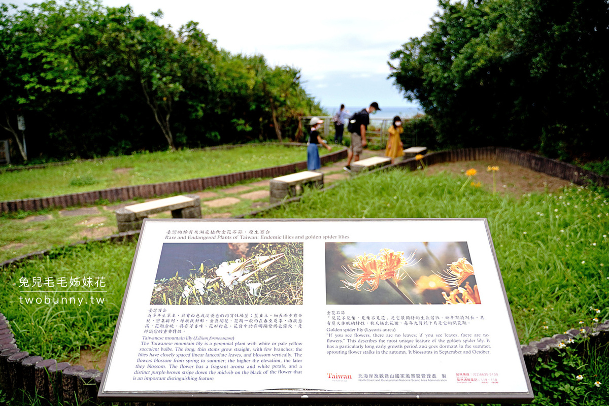 獅頭山公園步道｜新北金山海景步道～20分鐘輕鬆攻頂，輕鬆欣賞270度海景和燭台雙嶼 @兔兒毛毛姊妹花