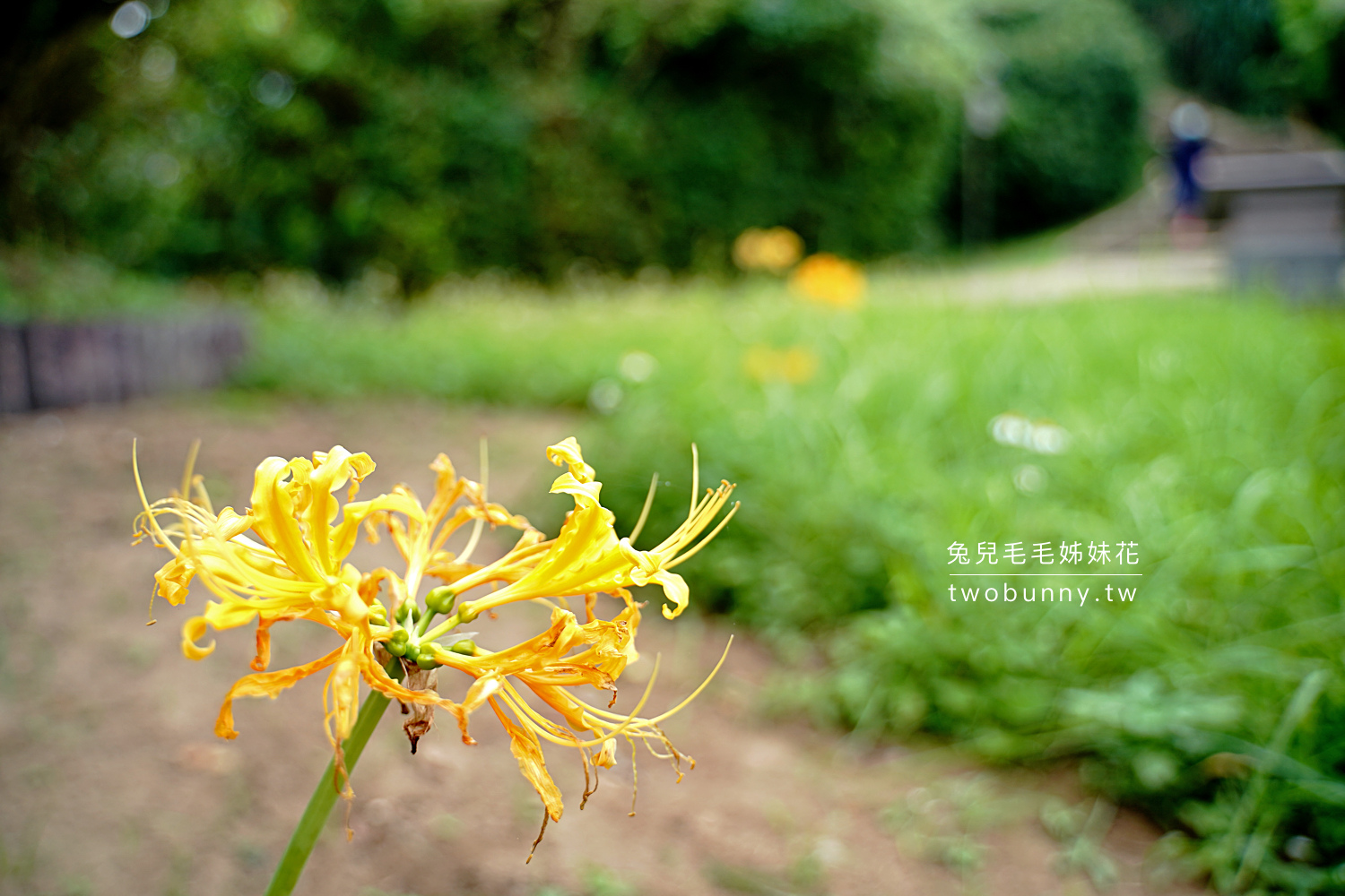 獅頭山公園步道｜新北金山海景步道～20分鐘輕鬆攻頂，輕鬆欣賞270度海景和燭台雙嶼 @兔兒毛毛姊妹花