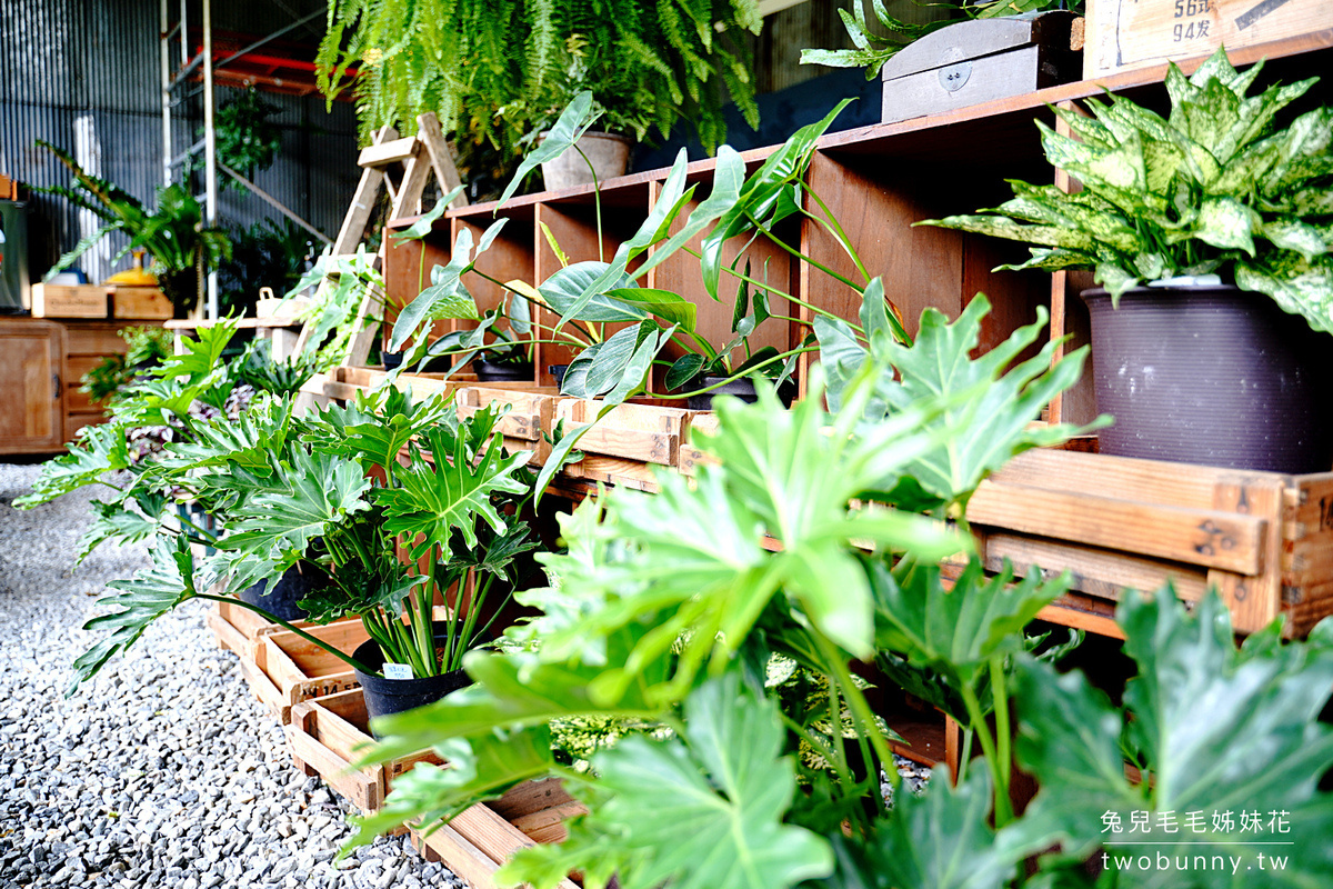 陽明山野人花園｜台北景觀餐廳森林系咖啡輕食植物店，不限時享受超美綠植庭園和山景 @兔兒毛毛姊妹花