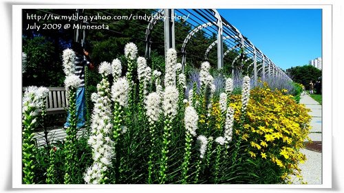 [2009 Minnesota] Sculpture Garden 的花花世界 @兔兒毛毛姊妹花