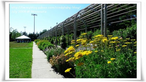 [2009 Minnesota] Sculpture Garden 的花花世界 @兔兒毛毛姊妹花