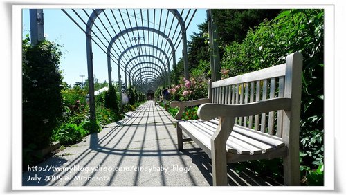 [2009 Minnesota] Sculpture Garden 的花花世界 @兔兒毛毛姊妹花