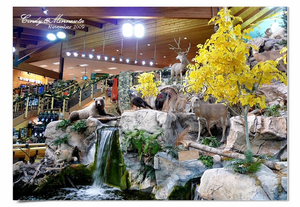 [2009 Minnesota] Cabela’s 是獵具店還是自然博物館?? @兔兒毛毛姊妹花