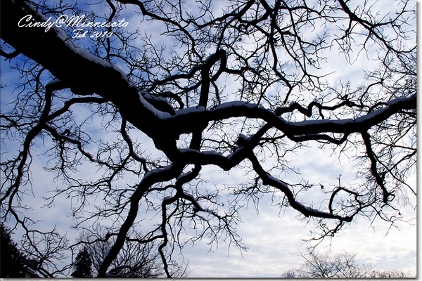 [2010 Minnesota] Lake Calhoun 湖上漫步 @兔兒毛毛姊妹花